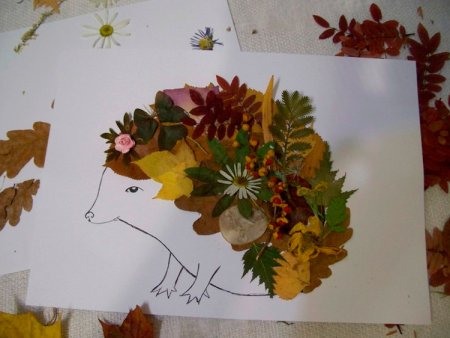 Гербарий из осенних листьев