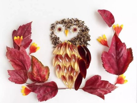 Поделки из листьев и цветов