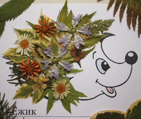 Поделки из гербария