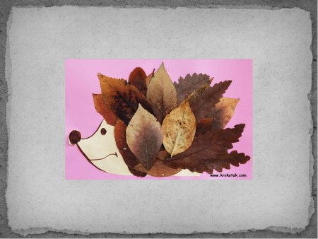 Композиция из засушенных листьев