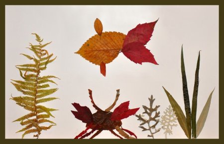 Композиции из засушенных листьев для 1 класса