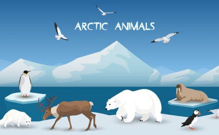 Животные Арктики вектор