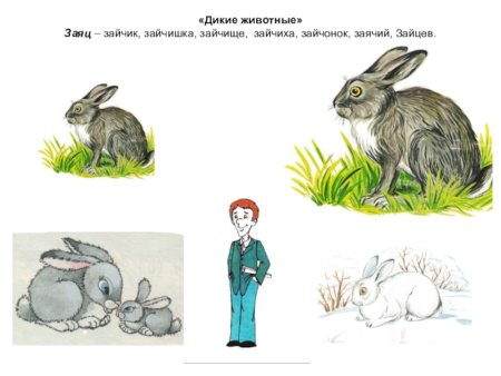 Дикие и животные заяц для дошкольников