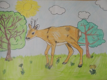 Детские рисунки карандашом животные