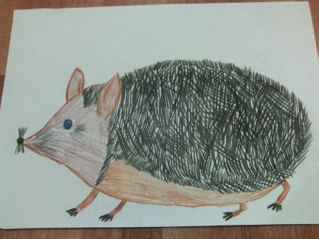 Пейзаж тихий Дон Шолохов