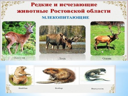 Геннадий Литвиненко лошади художник