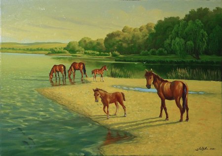 Рисунки природы