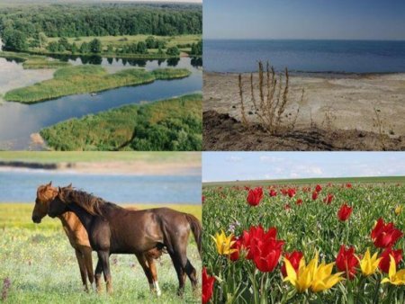 Животный мир Ростовской области