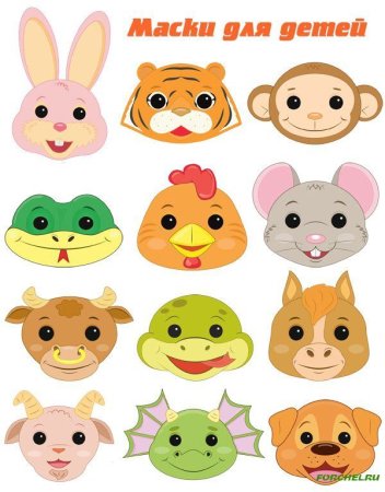 Мордочки животных