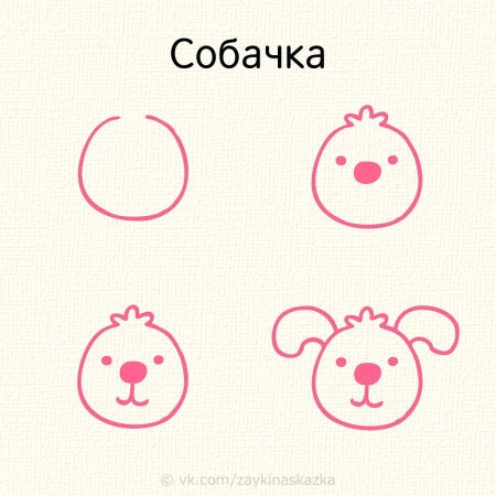 Рисуем мордочки животных