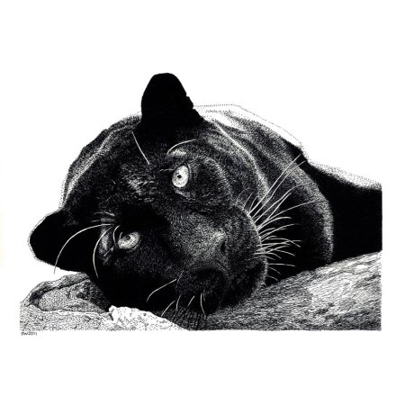 Черно белые картины