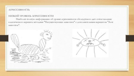 Расшифровка рисунка несуществующее животное психология