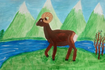 Рисунок Алтайский край