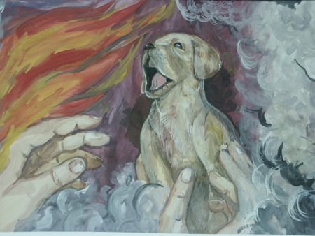 Пожар глазами животных