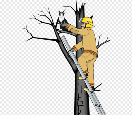 Спасатель спасает кошку с дерева