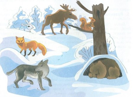 Животные зимой для детей