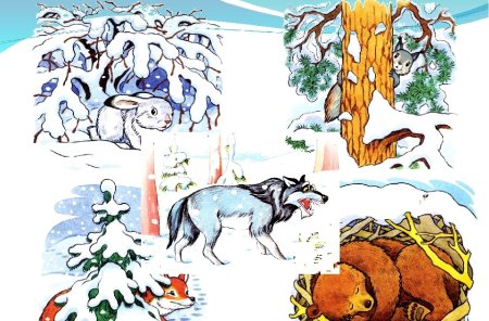 Зимующие животные