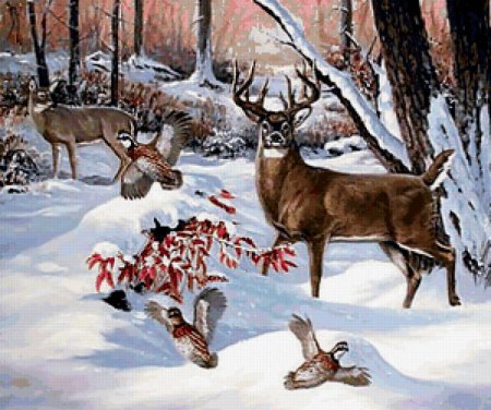 Птицы и звери зимой для дошкольников