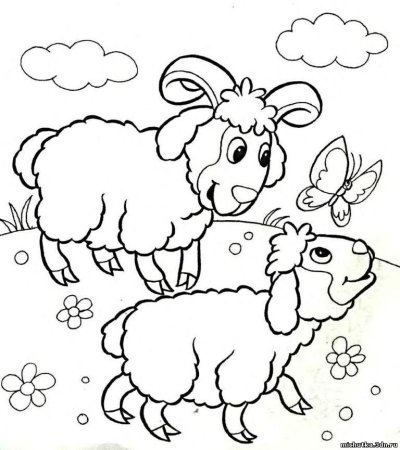 Раскраски домашних животных для детей