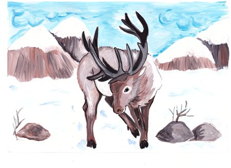 Рисование животных севера