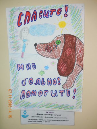 Конкурс рисунка гуманное отношение к животным