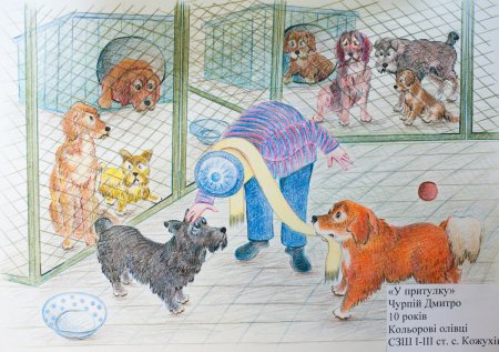 Рисунок на тему гуманное отношение к животным