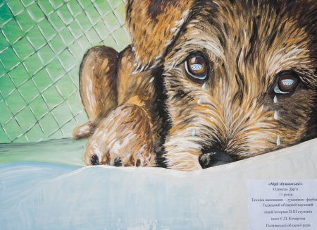 Гуманное отношение к животным рисунки детей