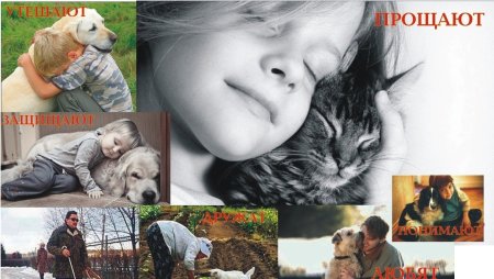 Гуманно отношение к животным