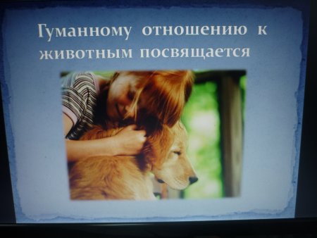 Гуманно отношение к животным