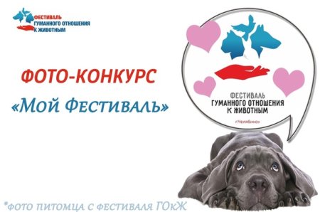 Акция гуманное отношение к животным