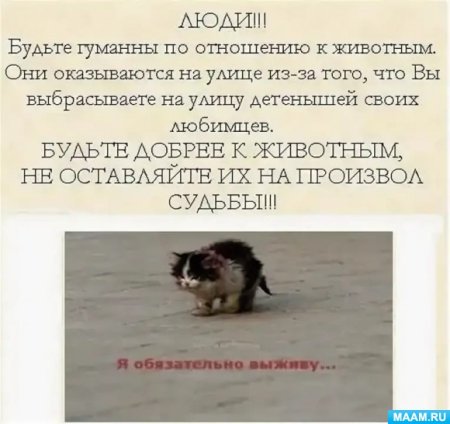 Гуманное отношение к животным