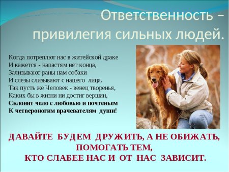 Мы в ответе за тех кого приручили