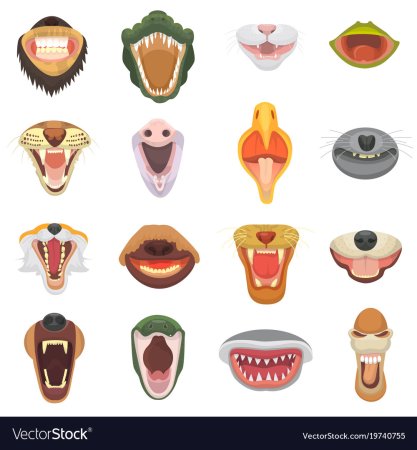 Рот животного