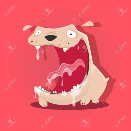 Зубы сбоку референс