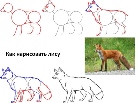 Схема рисования лисы
