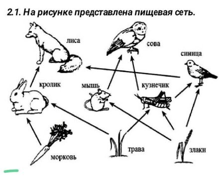 Цепь питания сеть питания