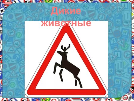 Знак Дикие животные
