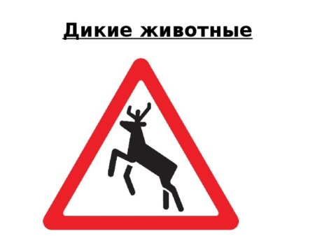 Осторожно Дикие звери