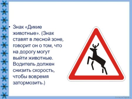 Знак Дикие животные