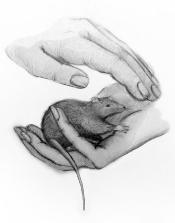 Против насилия животных