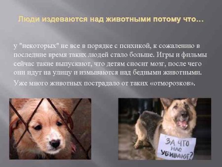 Издевательство над животными