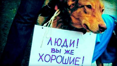 Против издевательств над животными