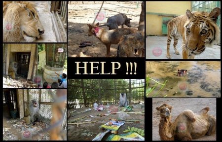 Против зоопарков