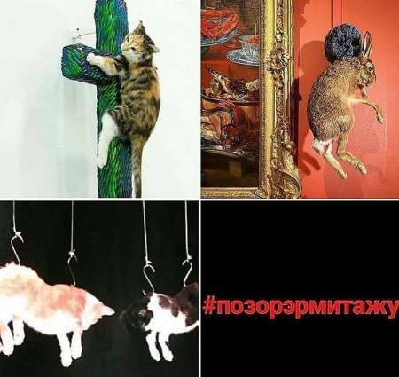 Ян Фабр чучела