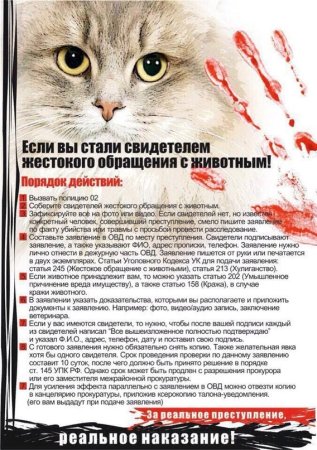 Жестокое обращение с животными статья