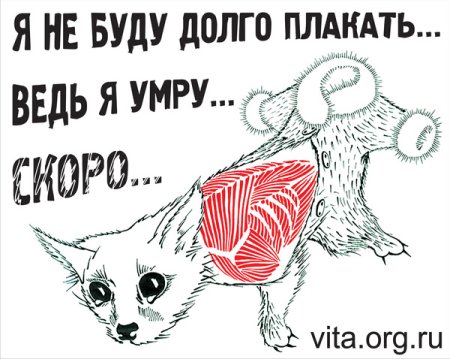 Плакат не убивайте животных