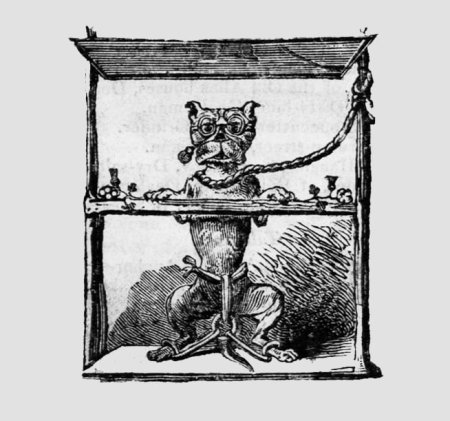 Суд над животными в средневековье