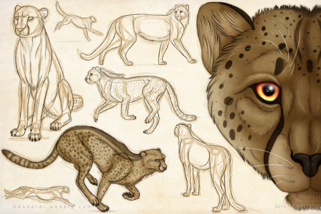 Гепард референс