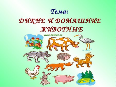 Дикие и домашние животные задания для дошкольников