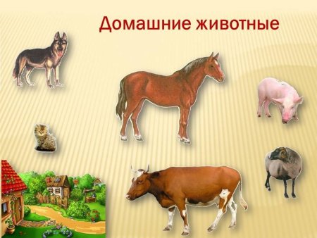 Ljvfiybtживотные для детей